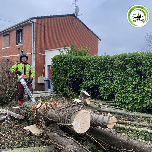 demontage-abattage-arbre-Douai-Arras-Cambrai-Orchies demontage-abattage-arbre-Douai-Arras-Cambrai-Orchies